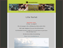 Tablet Screenshot of lillakarlso.org